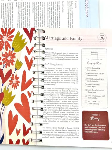 The Bible in a Year A 52-Week Study for Women, Spiral Bible Study Guide, 52-Week Bible Study Plan (A5) - Image 6