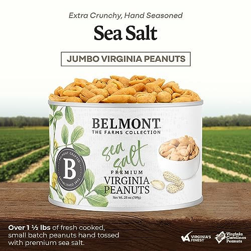 Belmont Peanuts Gourmet Sea-Salted Virginia Peanuts, 25 oz (1 Pack) – Only 3 Simple Ingredients, No Preservatives, 7g Protein – A Premium, Salty, Crunchy, Hand Seasoned Snack - Image 5