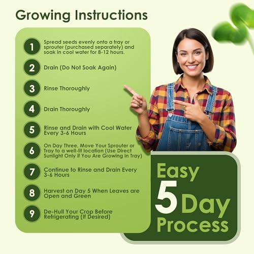 Nature Jims Sprouts Organic Salad Mix – Non-GMO Microgreen Seeds for Growing – Healthy Broccoli, Alfalfa, Radish & Clover Sprouting Variety Blend – Microgreens & Sprouts Seeds for Home Gardening – 1lb - Image 5
