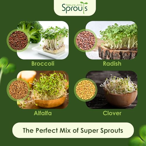 Nature Jims Sprouts Organic Salad Mix – Non-GMO Microgreen Seeds for Growing – Healthy Broccoli, Alfalfa, Radish & Clover Sprouting Variety Blend – Microgreens & Sprouts Seeds for Home Gardening – 1lb - Image 4