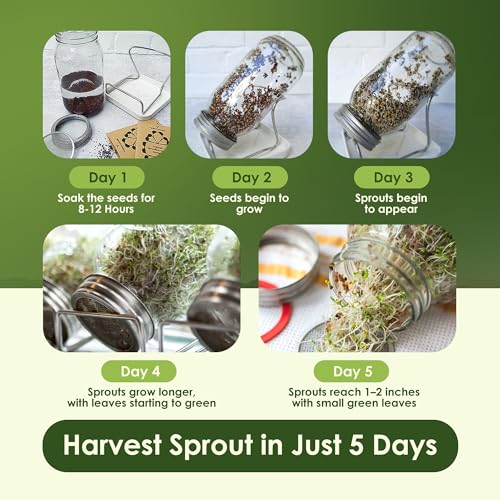 Nature Jims Sprouts Organic Salad Mix – Non-GMO Microgreen Seeds for Growing – Healthy Broccoli, Alfalfa, Radish & Clover Sprouting Variety Blend – Microgreens & Sprouts Seeds for Home Gardening – 1lb - Image 7